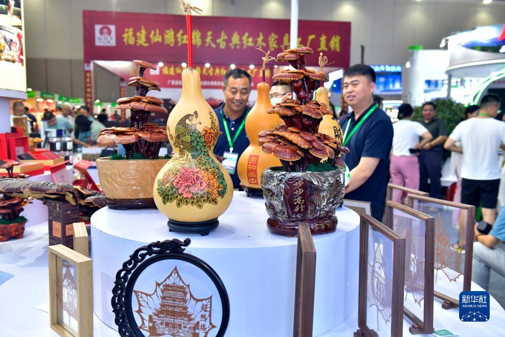 双色球走势图带连线